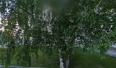 Новосибирский филиал СПбАА