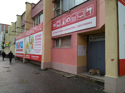 Созвездие