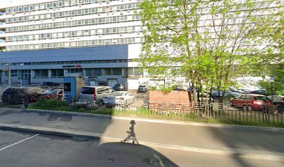 Школа Кино
