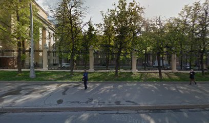 Школа Шапкиных