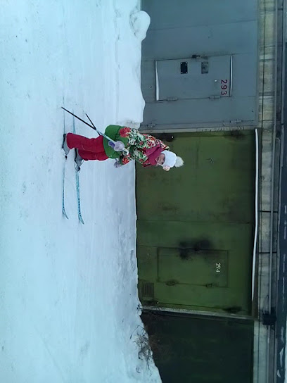 Свердловский областной клуб бокса и кикбоксинга "Чемпион"