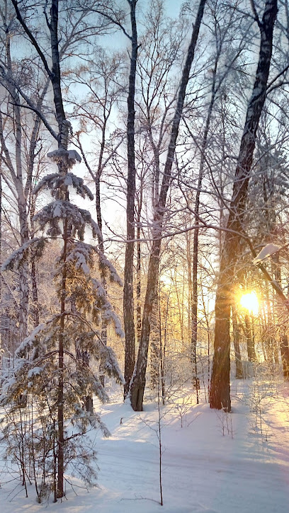 Велоточка