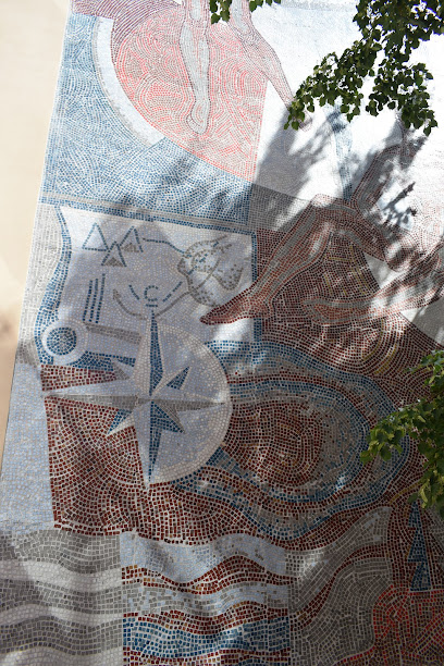 спб гбоу дод сдюсшор №1 центрального района