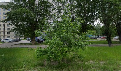 Страна Успеха