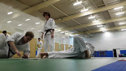 Школа восточных единоборств Ichidō