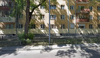 Тёмная лошадка