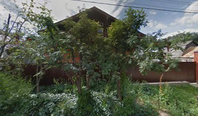 Федерация футбола Нижегородской области