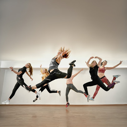FLY-DANCE