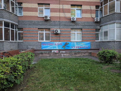 Стрекоза