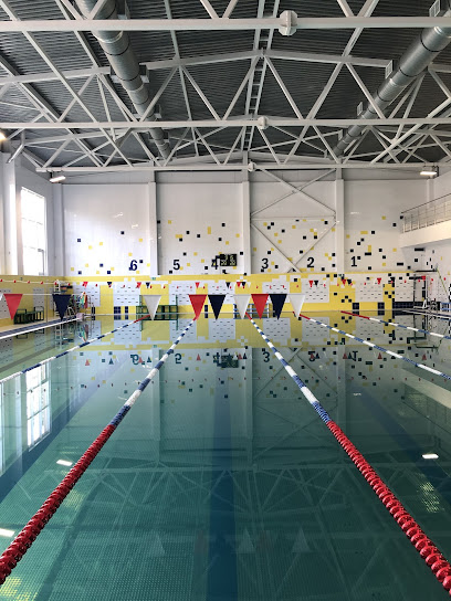 Школа плавания swim360° – обучение плаванию детей и взрослых