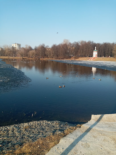 Головино́