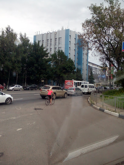 Нижегородский институт менеджмента и бизнеса
