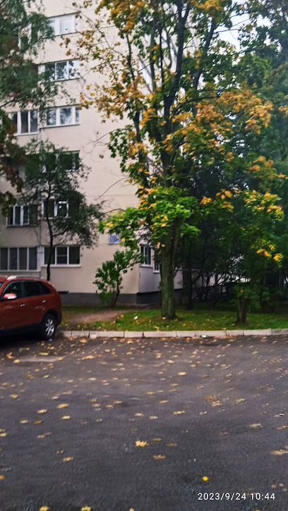 Детский Сад Добровольцев