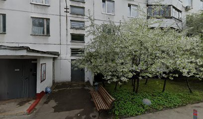 Курчатовская Школа