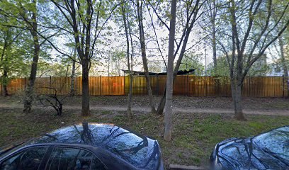 Алеф Школа