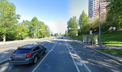 Школа Ромашка