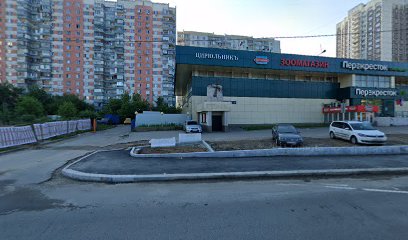 Дрессировка собак в Москве
