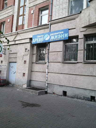 Дерево жизни