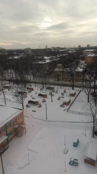 Выборжанин, ДЮСШ
