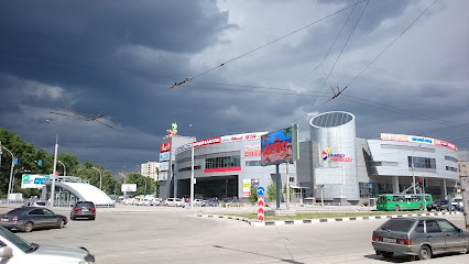 Берёзовая роща