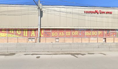 Центр изучения русского языка и культуры