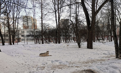 Детсад № 489