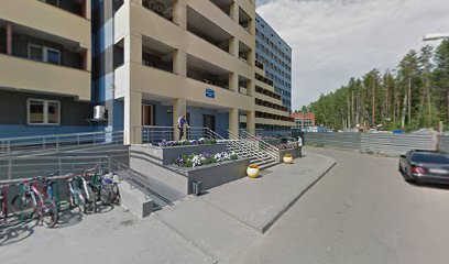 Инжевика