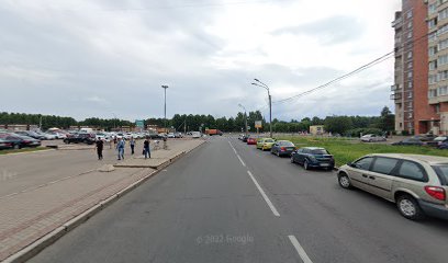 Интеллектиум