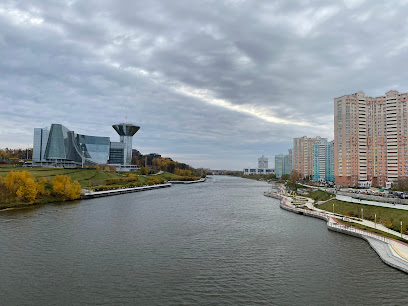 Павшинский мост