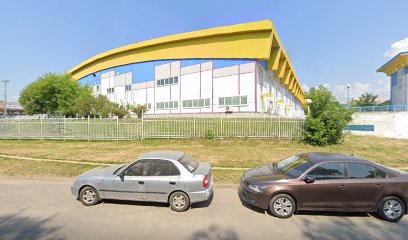 Муниципальный детский центр хоккея и фигурного катания. г. Одинцово