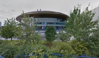 Школа Художественной Гимнастики "Ты Сможешь Сам"