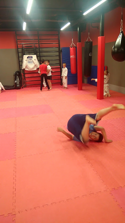 FIGHT & FITNESS CLUB, спортивный клуб