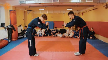Много Спорта, спортивный клуб | Единоборства, ушу, хапкидо