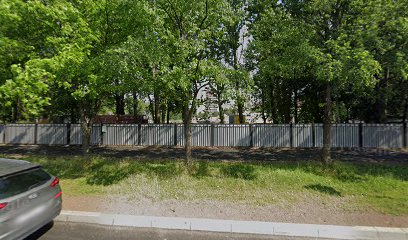 Монплезир