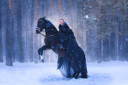Golden Horse
