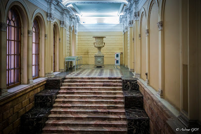 Европейский Университет в Санкт-Петербурге