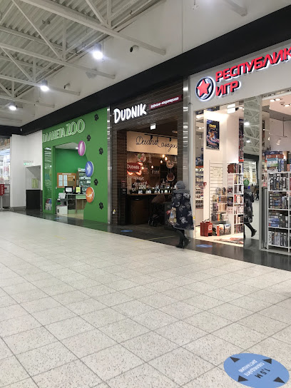 Dudnik