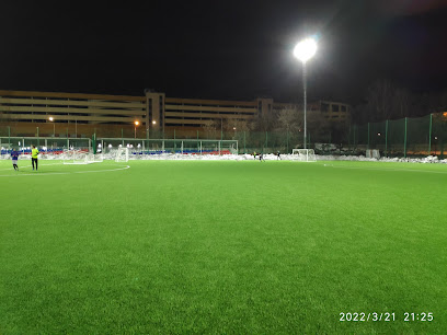 FootballTalent