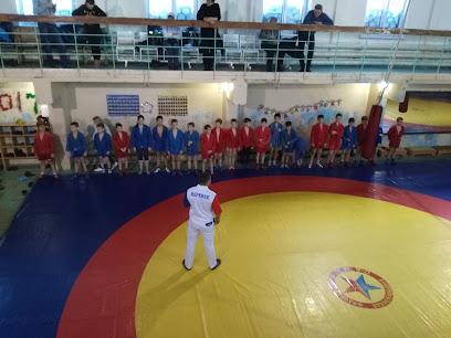 Самбо, спортивный клуб