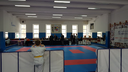 Динамэкс, спортивный клуб