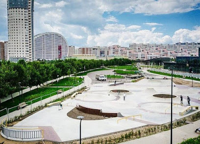 SkateScool.Ru скейт школа - уроки скейтбординга. Тренер для детей и взрослых. Обучение в Москве с нуля