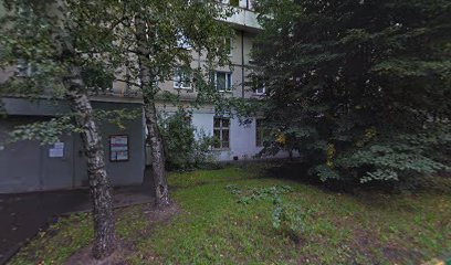 Лабиринты Шахмат