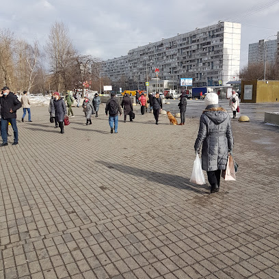 Метро "Бабушкинская"