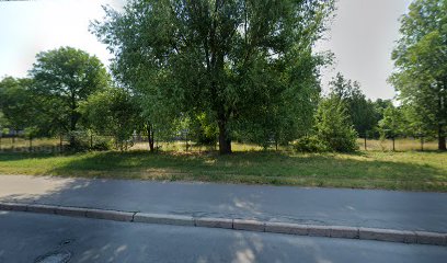 Лицей № 344 физико-математический, начальные классы