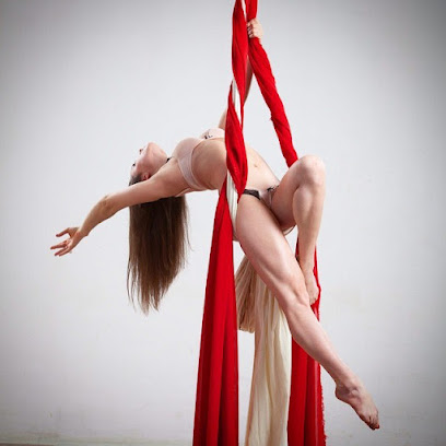 Школа pole dance "Avenue Art Lab"
