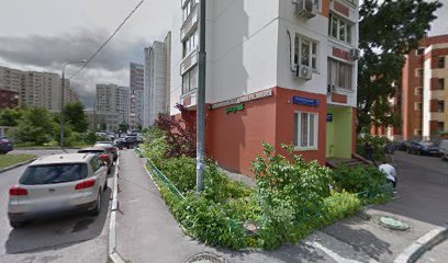 Современная академия развития