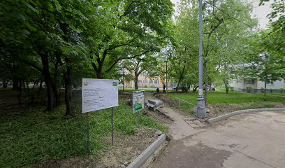 Детский сад №532