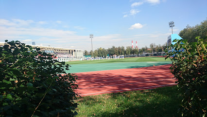 Дворец Спорта Лужники